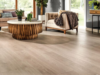 Jeoflor - Concept Click